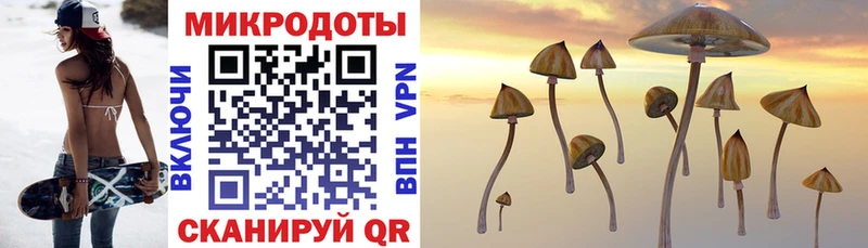 сколько стоит  Вилючинск  KRAKEN ONION  Псилоцибиновые грибы прущие грибы 