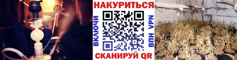 Конопля гибрид  где купить   Вилючинск 